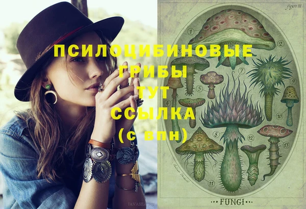 таблы Михайловск
