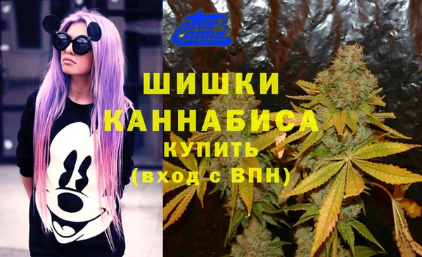 таблы Михайловск