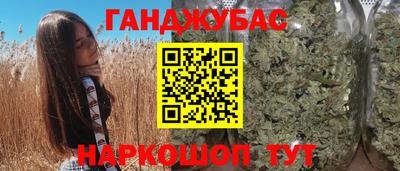 гидра Заводоуковск
