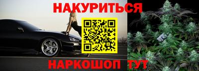 гидра Заводоуковск