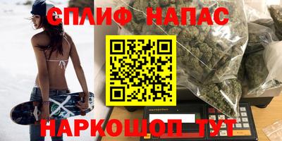гидра Заводоуковск