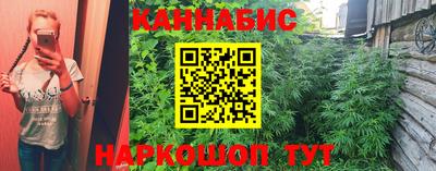 гидра Заводоуковск