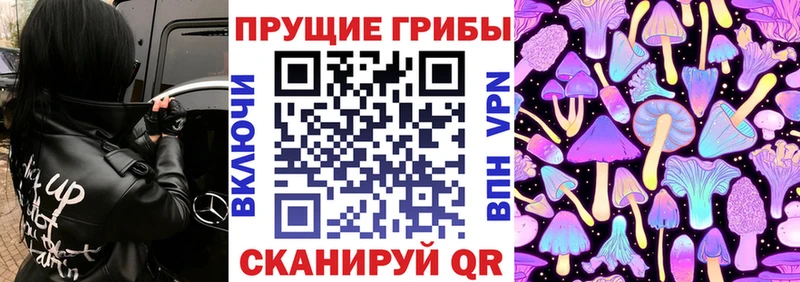 Галлюциногенные грибы Cubensis  Армавир 