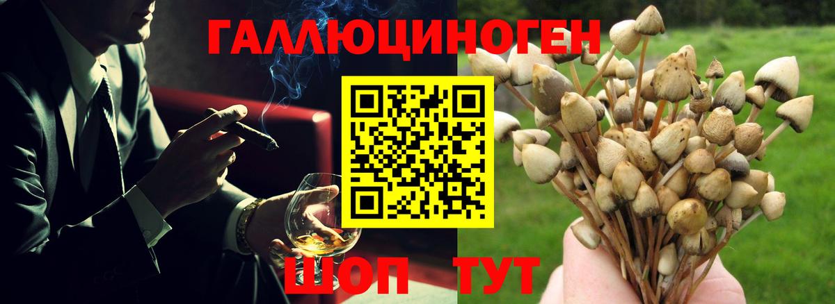 Галлюциногенные грибы Cubensis  закладки  Армавир  Вход с VPN 